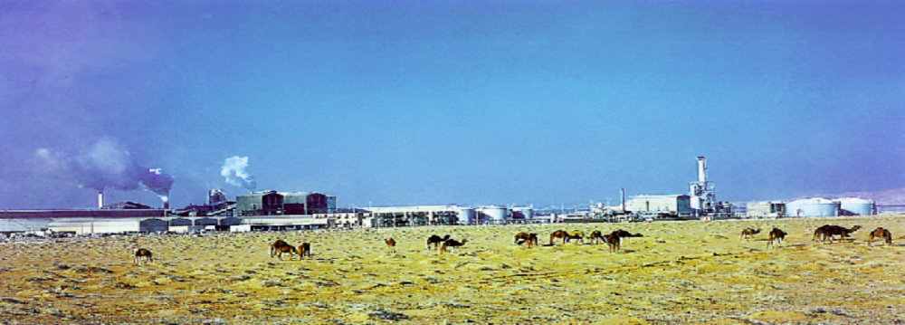 مصنع ثلاثي الفسفاط الرفيع بالمظيلة